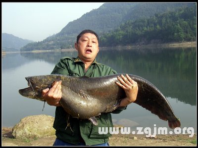 夢見一條大魚