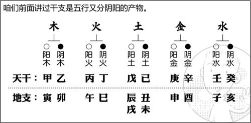 漫畫解析八字命理！