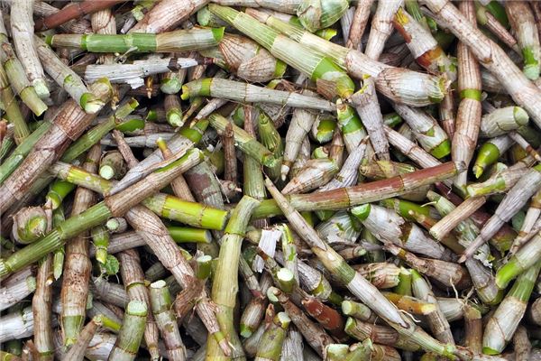 女人夢見拔竹筍_周公解夢