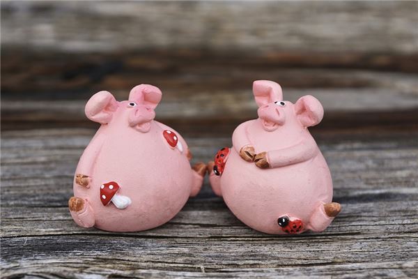 2019年的什麼屬相_十二生肖