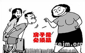 討屬豬丈母娘歡心秘籍_十二生肖