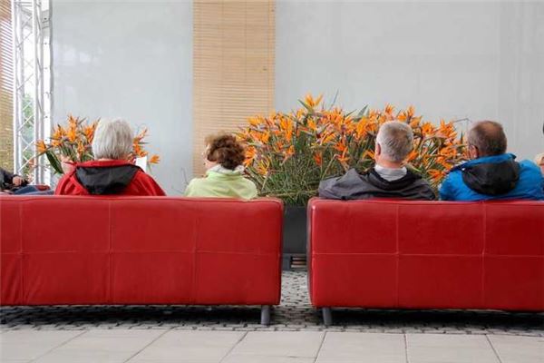 夢到了家裡有好多人預示著什麼_周公解夢