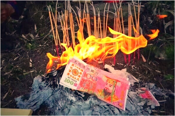 夢到了看到別人種草莓是什麼預兆_周公解夢官網
