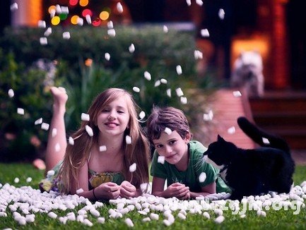 職場中的復仇星座_十二星座