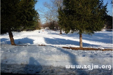 夢見新雪堆積