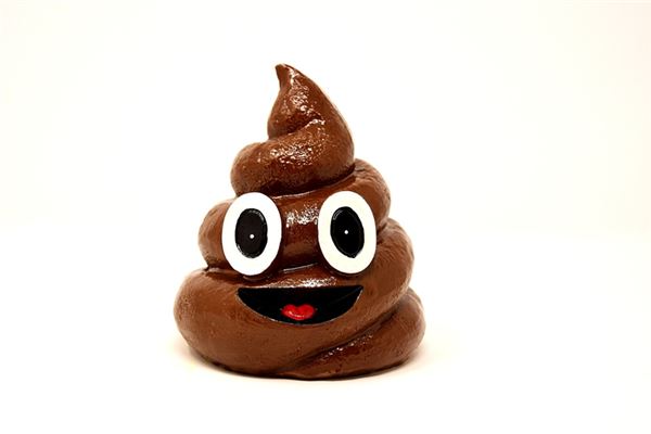 夢見自己拉大便_周公解夢