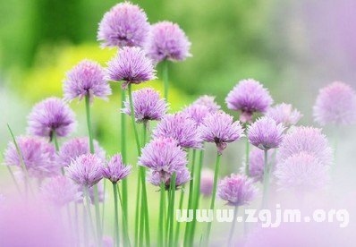 12星座男會變成怎樣的爛人_十二星座