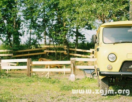 工作上會有好運降臨的星座_十二星座