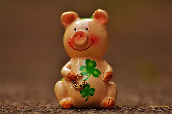 2007年幾月出生屬豬的命好_十二生肖