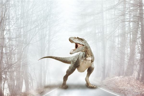 夢見小恐龍是啥意思_周公解夢