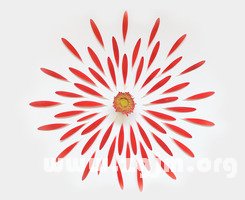 金牛座的地才指數_十二星座
