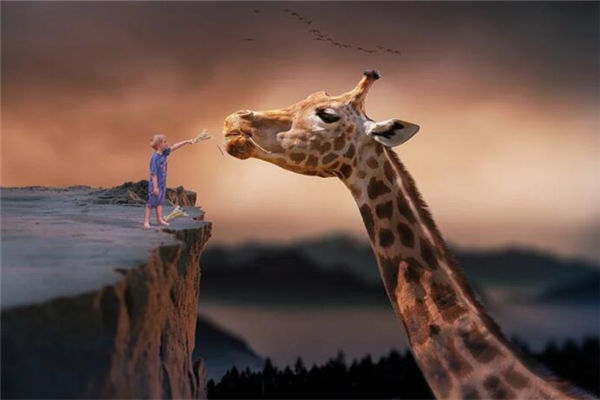 夢會變成現實嗎_周公解夢