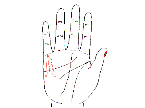 手相財運線 如何從手相看財運