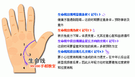 手相圖解大全：4、生命線看健康_看相大全