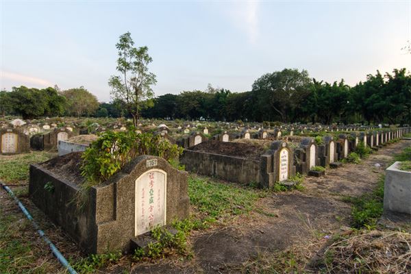 夢見山上到處都是墳_周公解夢