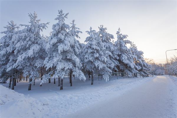 夢見雪什麼意思_周公解夢