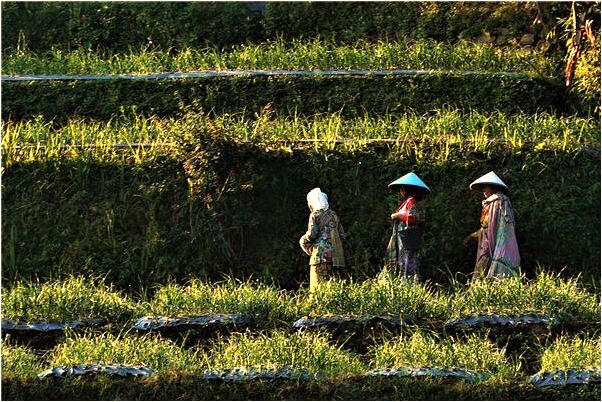 夢到親戚穿著孝衣是什麼意思？_周公解夢官網