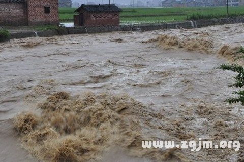 夢見河水暴漲