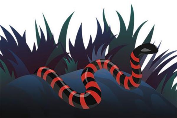 夢到了多頭蛇是咋回事_周公解夢