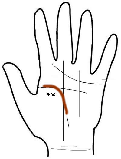 男人手相算命圖解之生命線圖解