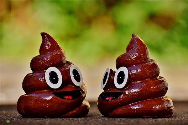 夢見很多屎_周公解夢