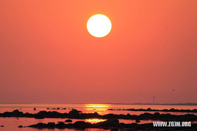 夢見一條黑狗_周公解夢夢到一條黑狗是什麼意思_做夢夢見一條黑狗好不好_周公解夢官網
