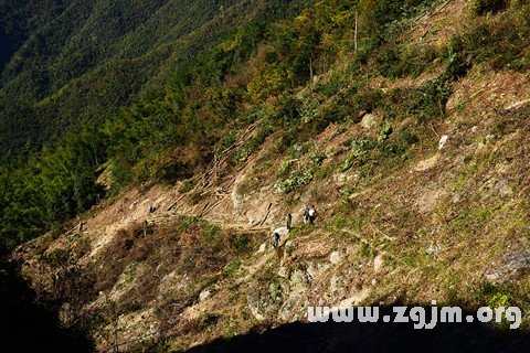 夢見崎嶇的路