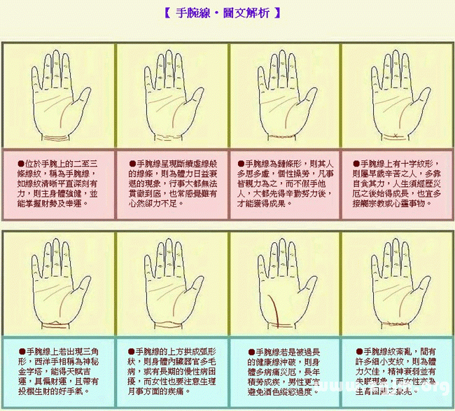 成濤掌相手腕線圖解