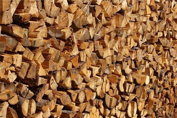 夢到了撿材火是啥預兆_周公解夢