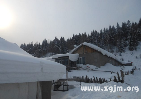 夢見滿地的雪