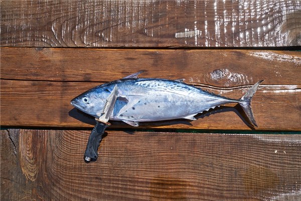 夢到了吃刀魚意味著什麼_周公解夢