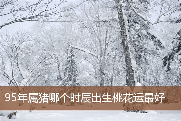 95年屬豬哪個時辰出生桃花運最好_十二生肖