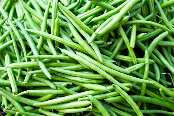 夢見豆地有什麼意義嗎_周公解夢