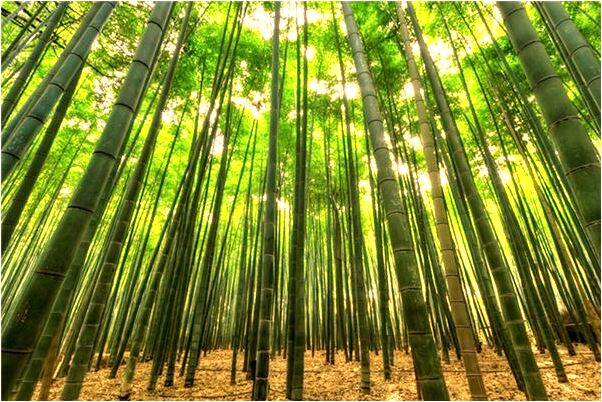 夢到把雞蛋扔到海里是什麼意思？_周公解夢官網