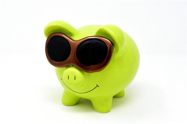 95年出生的人什麼生肖_十二生肖