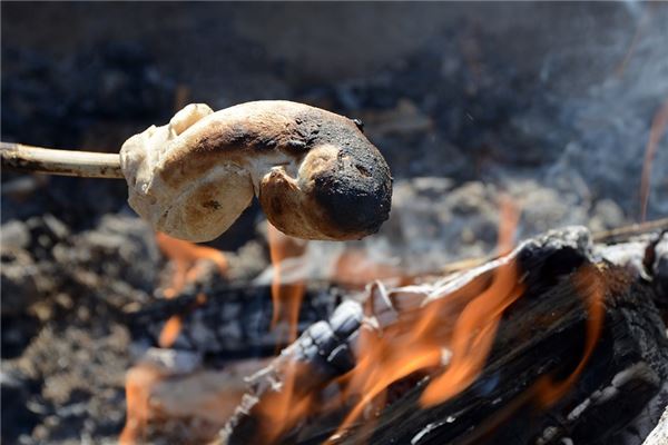 夢到烤蛇是什麼預兆_周公解夢