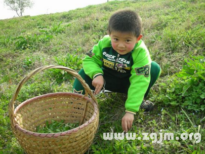 夢見挖野菜