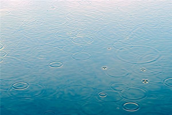 夢到了大片水意味什麼_周公解夢