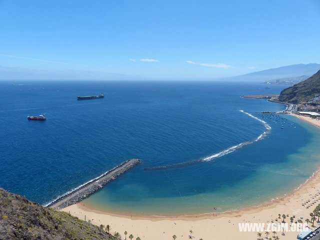 夢見很多流浪狗被我收養_周公解夢夢到很多流浪狗被我收養是什麼意思_做夢夢見很多流浪狗被我收養好不好_周公解夢官網