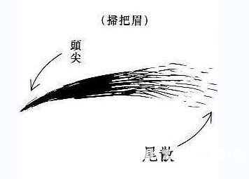 掃帚眉面相