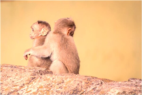 夢見去別人剛入宅的房子住是好事還是壞事_周公解夢官網