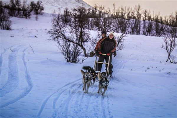 夢見雪橇：夢見雪橇，奇異之旅_周公解夢