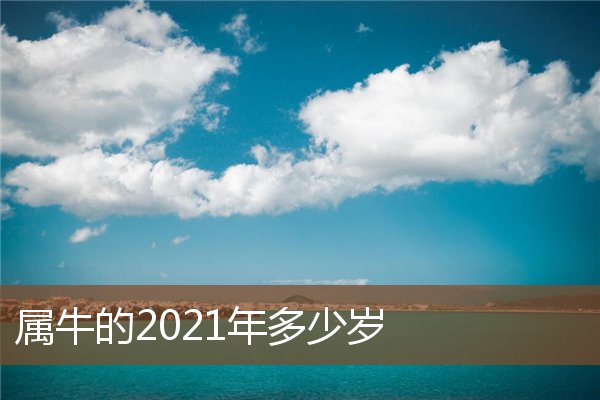 屬牛的2021年多少歲_十二生肖