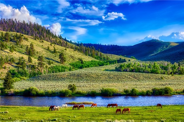 夢到了大自然好不好_周公解夢