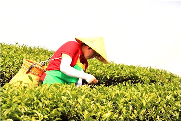 夢到轉運珠紅繩斷珠子斷會是什麼預兆_周公解夢官網
