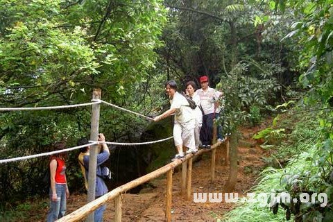 夢見過獨木橋