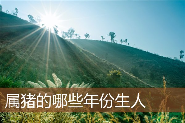 屬豬的哪些年份生人_十二生肖