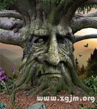 掃墓歸來什麼夢最可怕_周公解夢