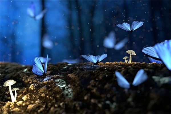 夢中說夢代表什麼動物_周公解夢