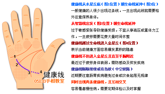 各類掌紋支線圖解_看相大全